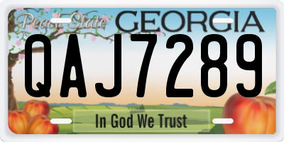 GA license plate QAJ7289