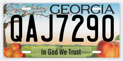 GA license plate QAJ7290
