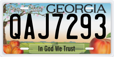 GA license plate QAJ7293
