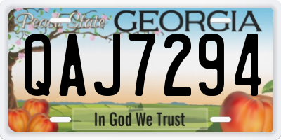GA license plate QAJ7294