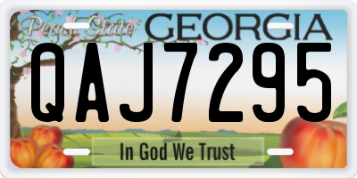 GA license plate QAJ7295