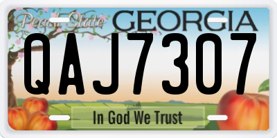 GA license plate QAJ7307
