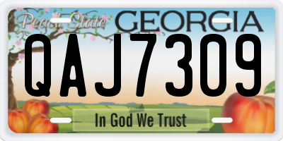GA license plate QAJ7309
