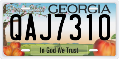 GA license plate QAJ7310
