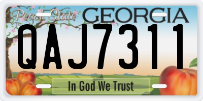 GA license plate QAJ7311