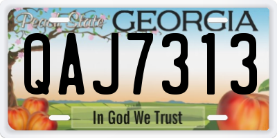 GA license plate QAJ7313