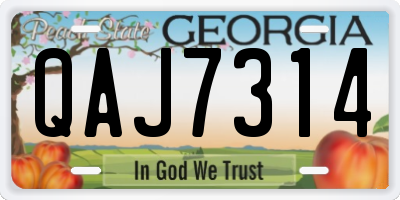 GA license plate QAJ7314