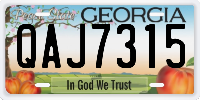GA license plate QAJ7315