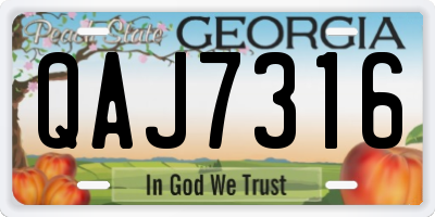 GA license plate QAJ7316