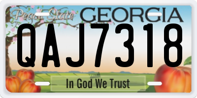 GA license plate QAJ7318