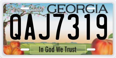 GA license plate QAJ7319