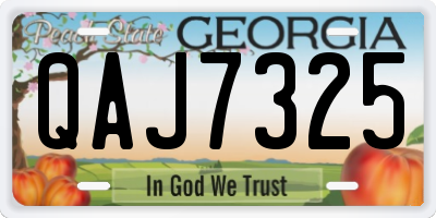 GA license plate QAJ7325