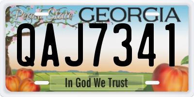 GA license plate QAJ7341