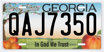 GA license plate QAJ7350