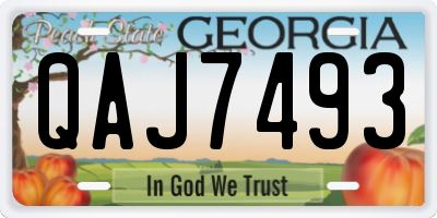 GA license plate QAJ7493