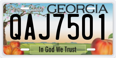 GA license plate QAJ7501