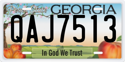 GA license plate QAJ7513