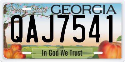 GA license plate QAJ7541