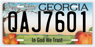 GA license plate QAJ7601