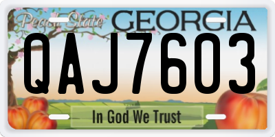GA license plate QAJ7603