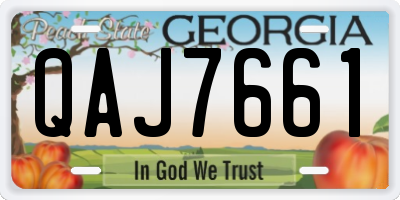 GA license plate QAJ7661