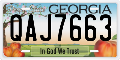 GA license plate QAJ7663