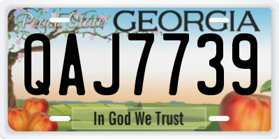 GA license plate QAJ7739