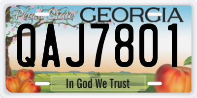 GA license plate QAJ7801