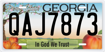 GA license plate QAJ7873