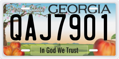 GA license plate QAJ7901