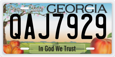 GA license plate QAJ7929