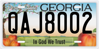 GA license plate QAJ8002
