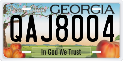 GA license plate QAJ8004