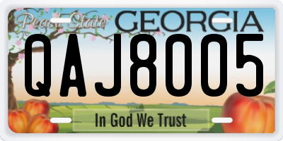 GA license plate QAJ8005