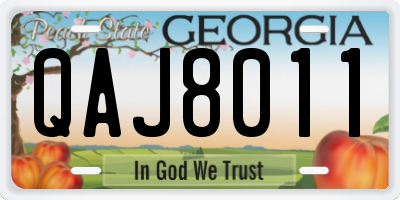 GA license plate QAJ8011