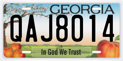 GA license plate QAJ8014