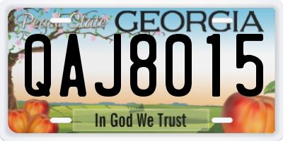 GA license plate QAJ8015