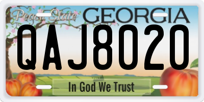 GA license plate QAJ8020