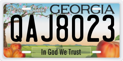 GA license plate QAJ8023