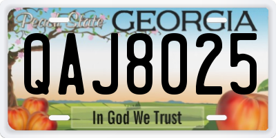 GA license plate QAJ8025