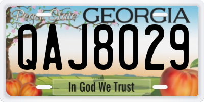 GA license plate QAJ8029