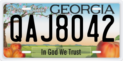 GA license plate QAJ8042