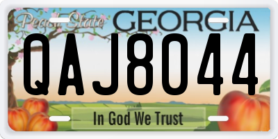 GA license plate QAJ8044