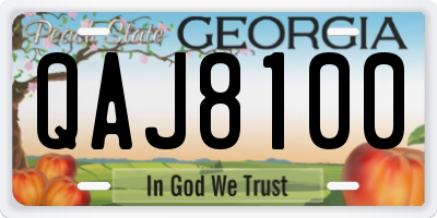 GA license plate QAJ8100