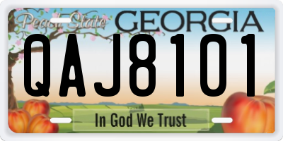 GA license plate QAJ8101
