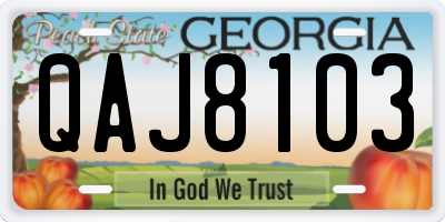 GA license plate QAJ8103