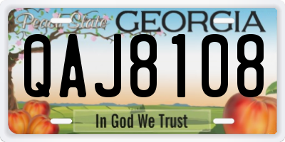 GA license plate QAJ8108
