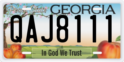 GA license plate QAJ8111