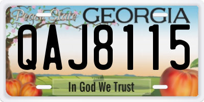 GA license plate QAJ8115