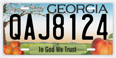 GA license plate QAJ8124